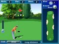 Golf Master 3D til að spila á netinu