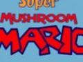 Super Mushroom Mario til að spila á netinu