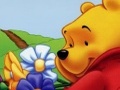 Winnie the Pooh falinn hlut til að spila á netinu