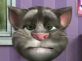 Talking Tom til að spila á netinu