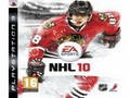 NHL 10 Jigsaw til að spila á netinu