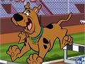 Scooby Doo - hindrunarhlaup til að spila á netinu