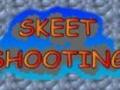 Skeet Shooting til að spila á netinu